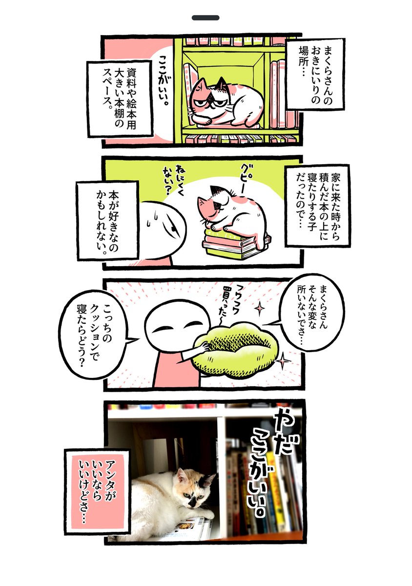 元迷い猫のまくらさんは本棚がお気に入り 先住猫ぐーさんとのやりとりもかわいい 猫さんたちが幸せで何より Togetter