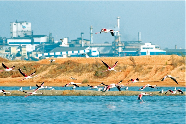 Atlantic Copper (<a href="/Atlantic_Copper/">Atlantic Copper</a>) mantiene un #compromiso "decidido" con los #ODS #Agenda2030 #SGD <a href="/UN/">United Nations</a> <a href="/mbellido/">manuel bellido</a> @oeca_ods ow.ly/CQ5s50BCRug