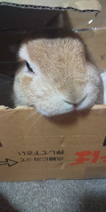 Twitterのコスプレ画像35