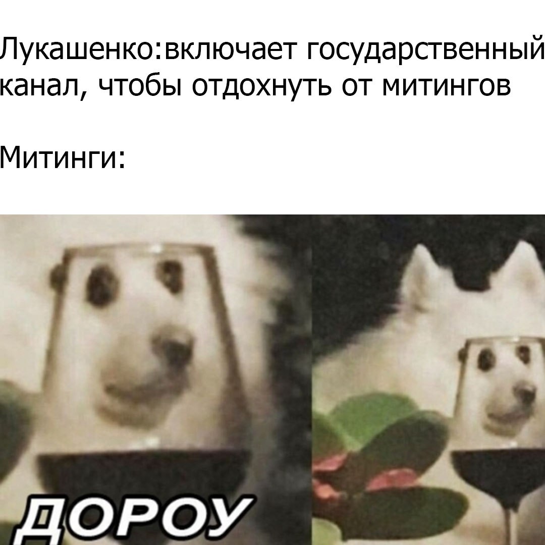 Дороу собака