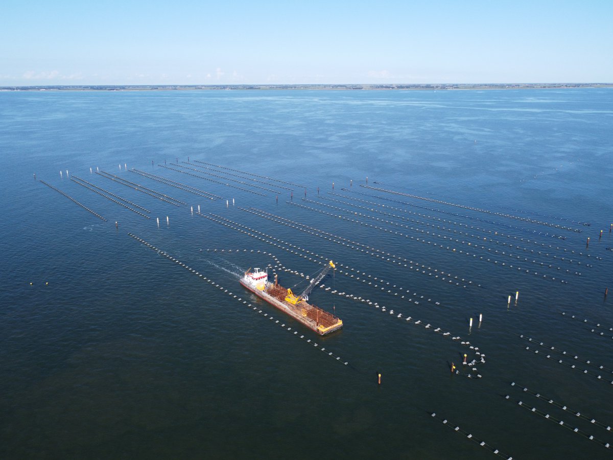 KleinWieringen's tweet photo. Foto's verwijderen installaties #mosselzaadinvang in de #Waddenzee door ons #kraanschip Afsluitdijk.
In het voorjaar plaatsen we de installaties; in het najaar verwijderen we de installaties voor het stormseizoen. 
#mosselkweek #mosselenzouitzeeland #mosselen https://t.co/5cKiLrzPuc