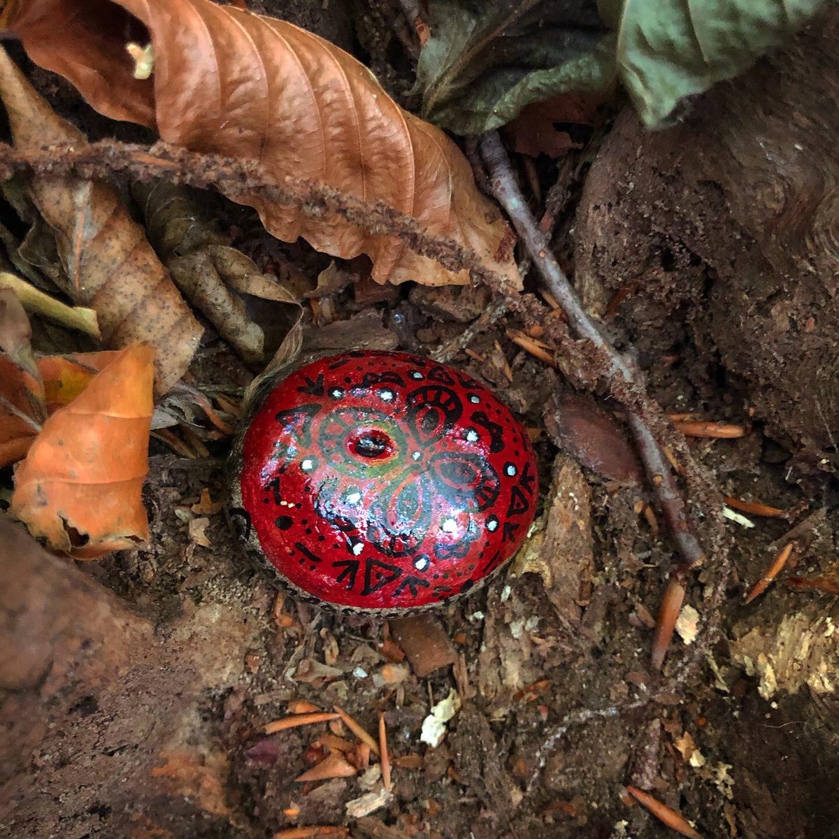 CompassionateRo's tweet image. There is hope.

#hope #hopeful #hopefulquotes #paintedrocks #pebbleswithpurpose #compassionaterocks #compassionrocks #paintedstones #paintedstonesart #kindnesstwitter #kindnessmatters #kindnessrocks