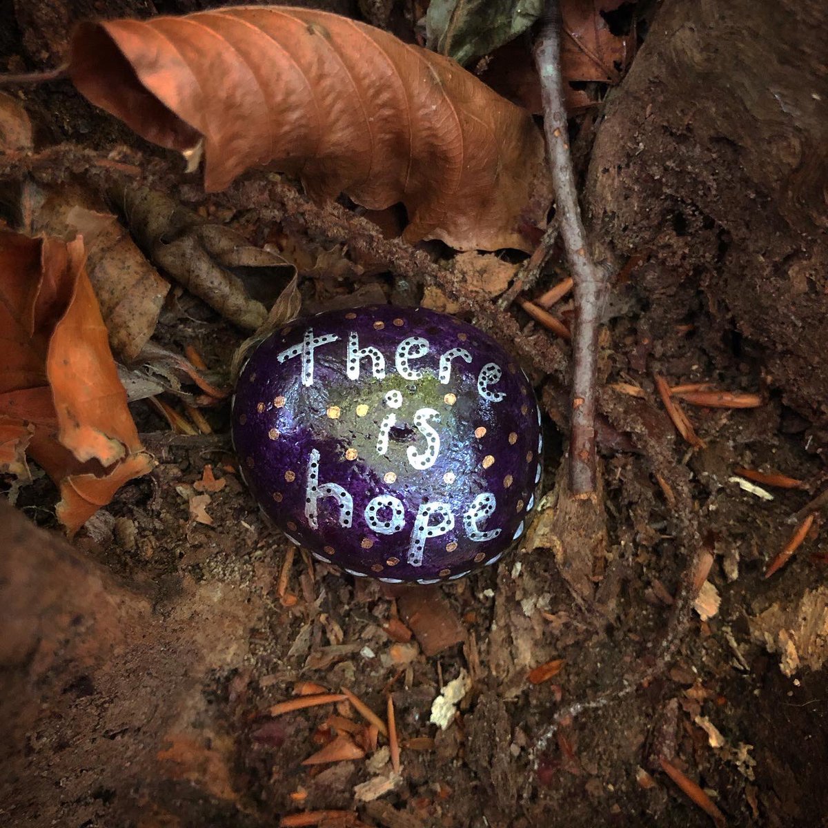 CompassionateRo's tweet image. There is hope.

#hope #hopeful #hopefulquotes #paintedrocks #pebbleswithpurpose #compassionaterocks #compassionrocks #paintedstones #paintedstonesart #kindnesstwitter #kindnessmatters #kindnessrocks