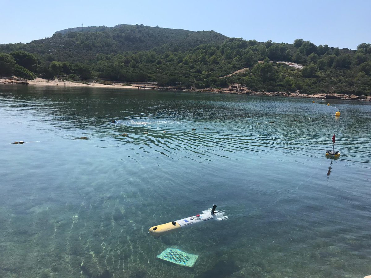 IMEDEA (UIB-CSIC) tweet media