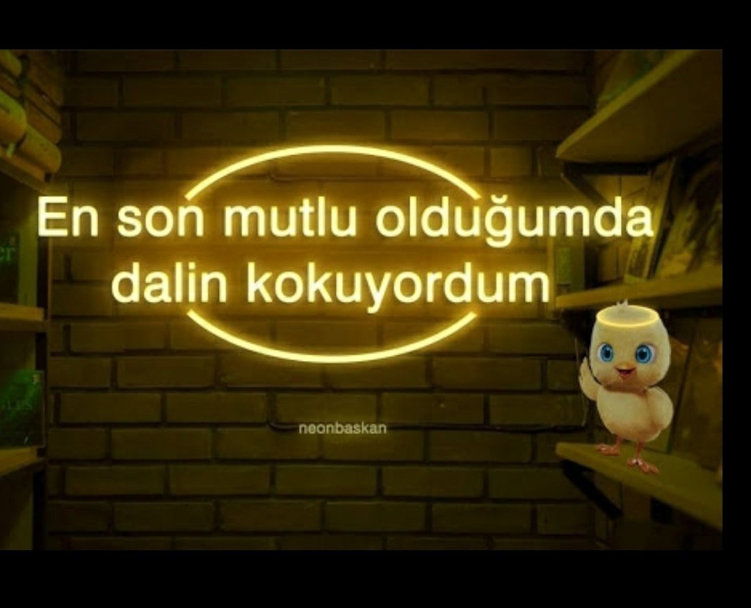 Ahmet önem (@ahmetnem14) on Twitter photo 