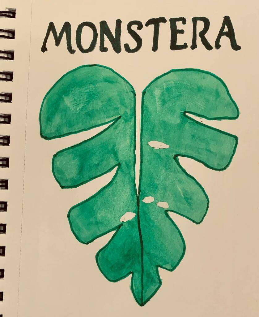 #sketchtember2020 Day 20 #Monstera ##languageofflowers #plant #leaf #swisscheeseplant #fruitsaladplant #tropicalfoliage @zellbellart