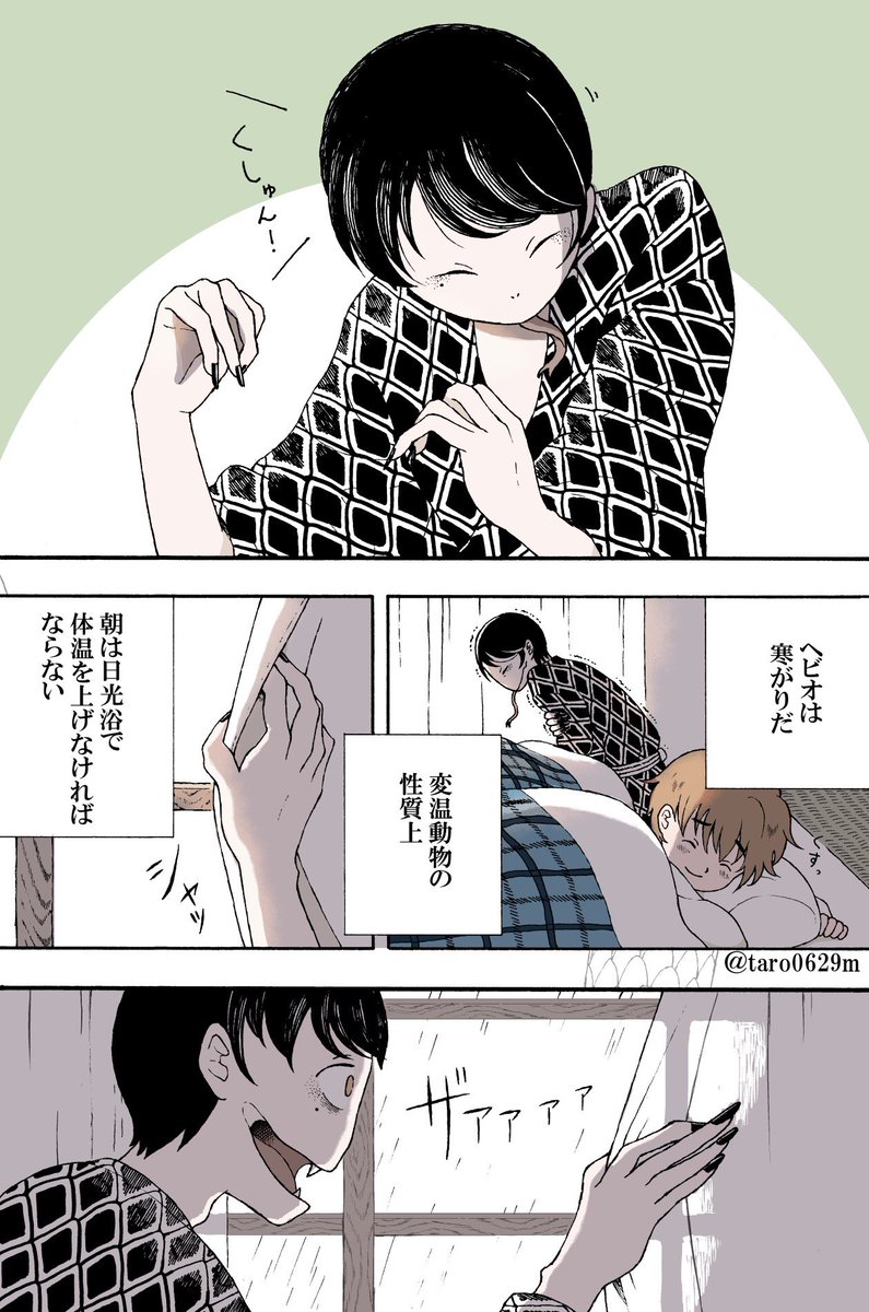 【創作漫画】蛇人間のヘビオと一緒に暮らしてみた① #エアコミティア133 