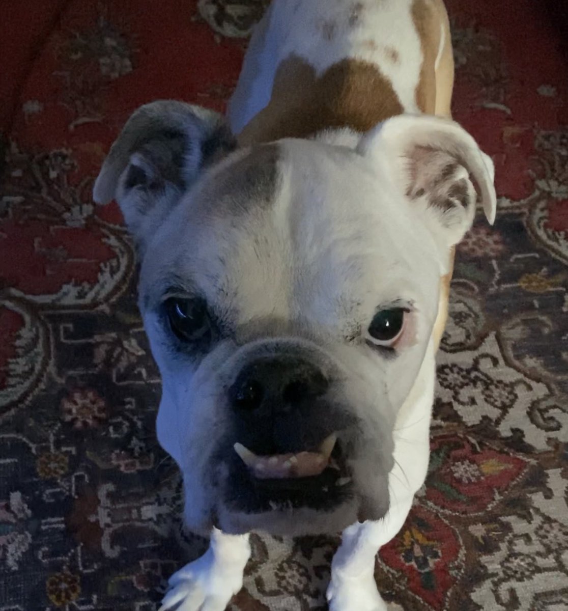 KiDCuDi's tweet image. My boyyyyyyyy 😭