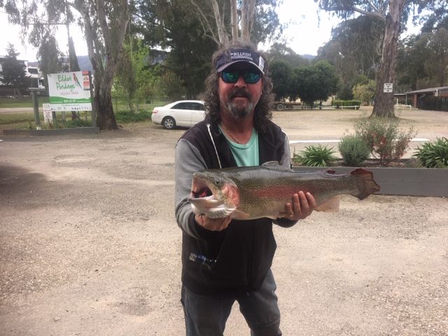 eildonpondagehp's tweet photo. Rod caught a 10 pounder rainbow trout in the Park last Thursday! Nicely done 👍🐟
🎣

#fishing #eildonpondage #lakeeildon #lake #rainbowtrout #trout #victoria #angler #murrindindi https://t.co/3Y8VK4X0Qu