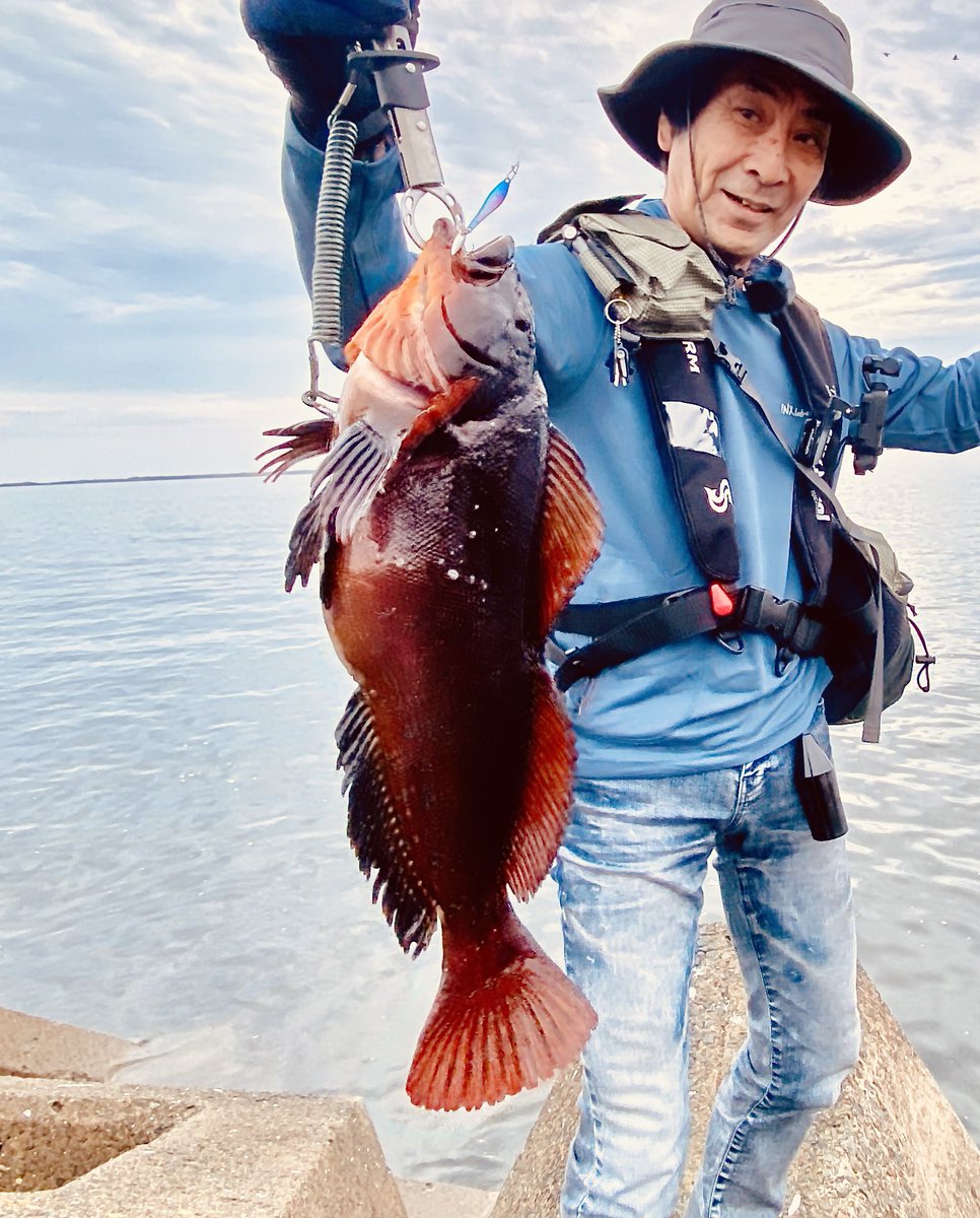 加来 匠 ナッゾもサビアも良く頑張った 巻きの釣りがあまり効かないウサギアイナメ ファイトが長かったのでリリース時に弱っていて少しドッキリさせられた 加来 匠 ナッゾもサビアも良く頑張った 巻きの釣りがあまり効かないウサギアイナメ ファイトが長かったのでリリース時に弱っていて少しドッキリさせられた