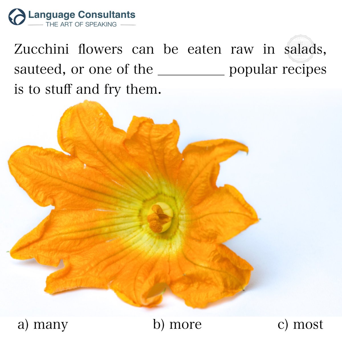 grammar_club's tweet photo. #english 🇬🇧 #englishlearning #learnenglish #languagelearning
#zucchini #zucchiniflowers #zucchinirecipes #stuffedzucchini #friedzucchini #zucchiniblossoms https://t.co/BUq3doiaWV