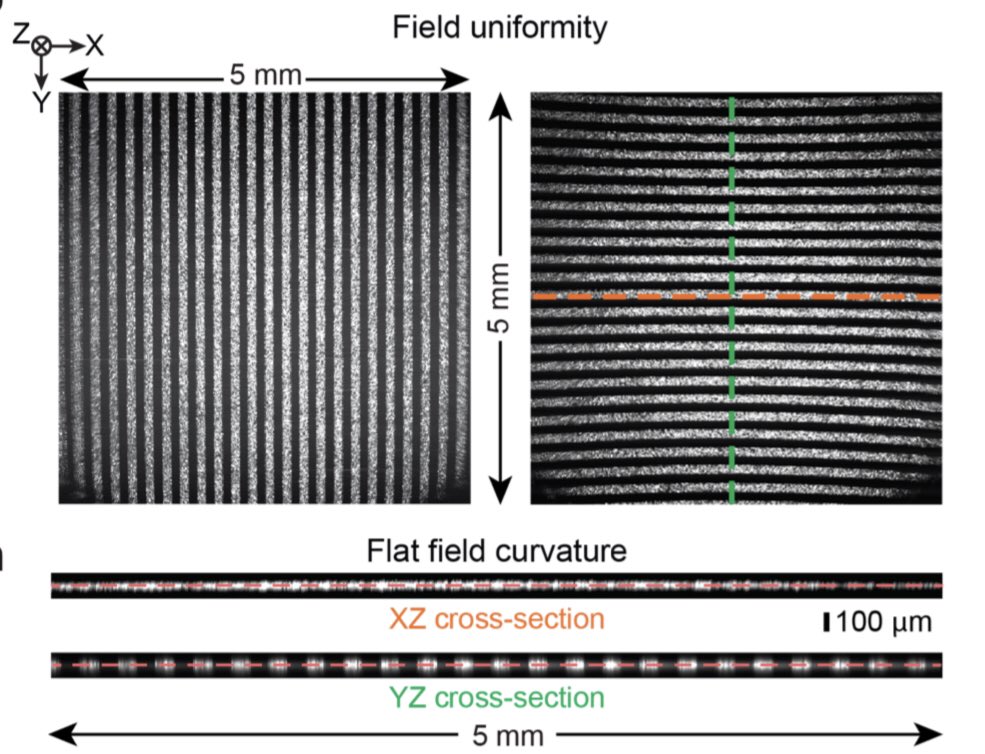 A mesoscale 2p with dual independent scan engines. biorxiv.org/content/10.110… Subcellular resolution. Adaptive optics. Rotating objective. 1/n
