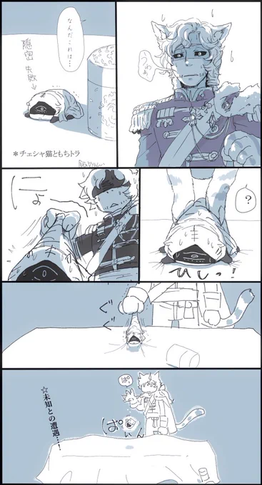 猫vs概念 