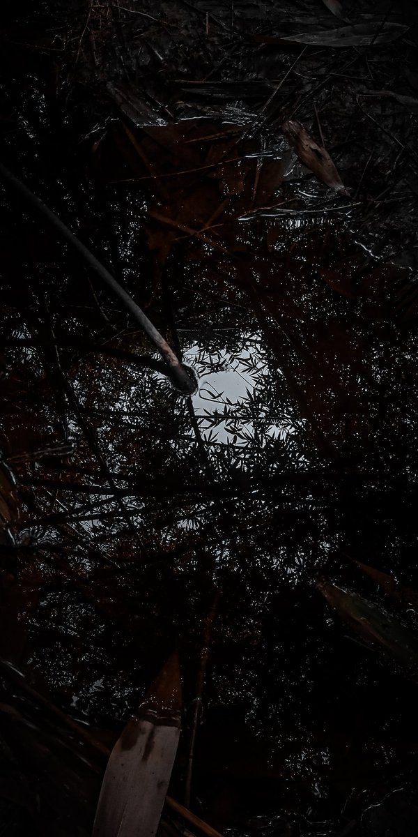 roshansafi11's tweet photo. Marching ahead 🐾❤️......
#wallmag #artisemagazine #3dlutcreator #creative_photographer #canonfamily #_thewellworn #canon #canonindia #canonasia #lightroom #colourgrading #animalphotography #creepy #awesomephotography #wildlifephotography #inspiration #traveller #explorer #etc https://t.co/rgBK9s9Lrk