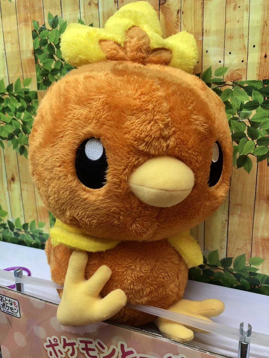 マンガ倉庫日向店アミューズ ポケットモンスター ほっこりいやされ めちゃでかアチャモぬいぐるみ 入荷しましたー 現実に アチャモがいたら こんな感じなんだろうな ポケットモンスター アチャモ ポケモンぬいぐるみ アチャモぬいぐるみ めちゃで マンガ倉庫日向店アミューズ ポケットモンスター ほっこりいやされ めちゃでかアチャモぬいぐるみ 入荷しましたー 現実に アチャモがいたら こんな感じなんだろうな ポケットモンスター アチャモ ポケモンぬいぐるみ アチャモぬいぐるみ めちゃで