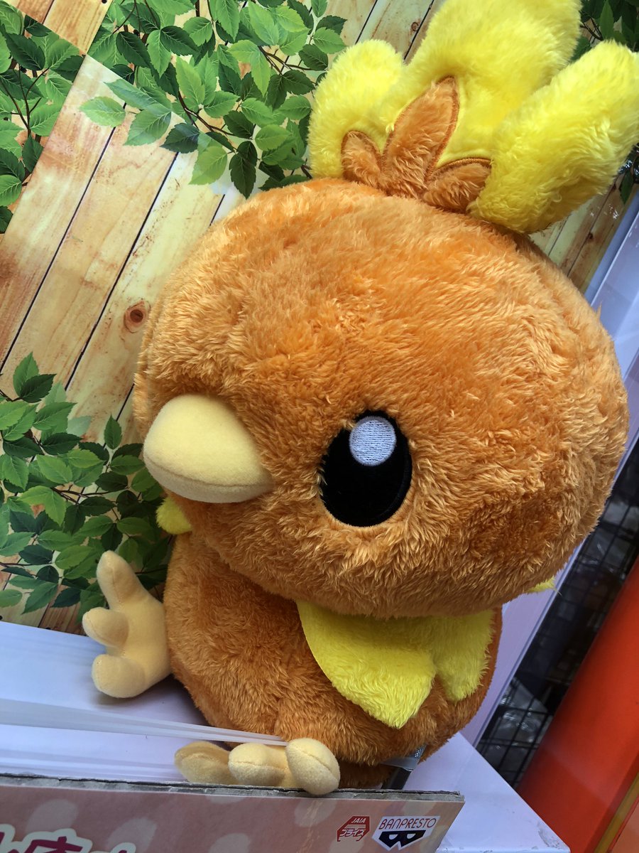 マンガ倉庫日向店アミューズ ポケットモンスター ほっこりいやされ めちゃでかアチャモぬいぐるみ 入荷しましたー 現実に アチャモがいたら こんな感じなんだろうな ポケットモンスター アチャモ ポケモンぬいぐるみ アチャモぬいぐるみ めちゃで マンガ倉庫日向店アミューズ ポケットモンスター ほっこりいやされ めちゃでかアチャモぬいぐるみ 入荷しましたー 現実に アチャモがいたら こんな感じなんだろうな ポケットモンスター アチャモ ポケモンぬいぐるみ アチャモぬいぐるみ めちゃで