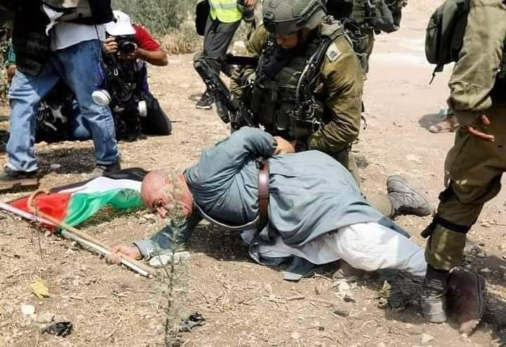 AyaIsleemEn's tweet photo. 🇵🇸#Palestine || Israeli occupation forces arrested the elderly Palestinian activist Khairy Hannoun after raiding his home in Anabta town near Tulkarm. https://t.co/qFxvJhSUGr
