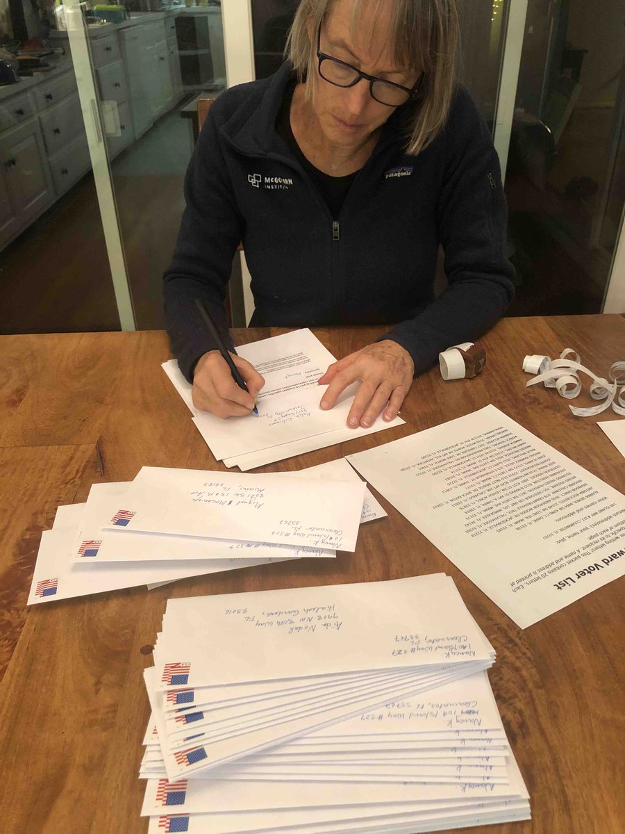 4.Non-US citizens can text their citizen friends telling them how important their vote is. They can also work with Common Cause and write to swing-state voters (I will reimburse for stamps and envelopes for those writing via VoteFW  https://votefwd.org/ ).