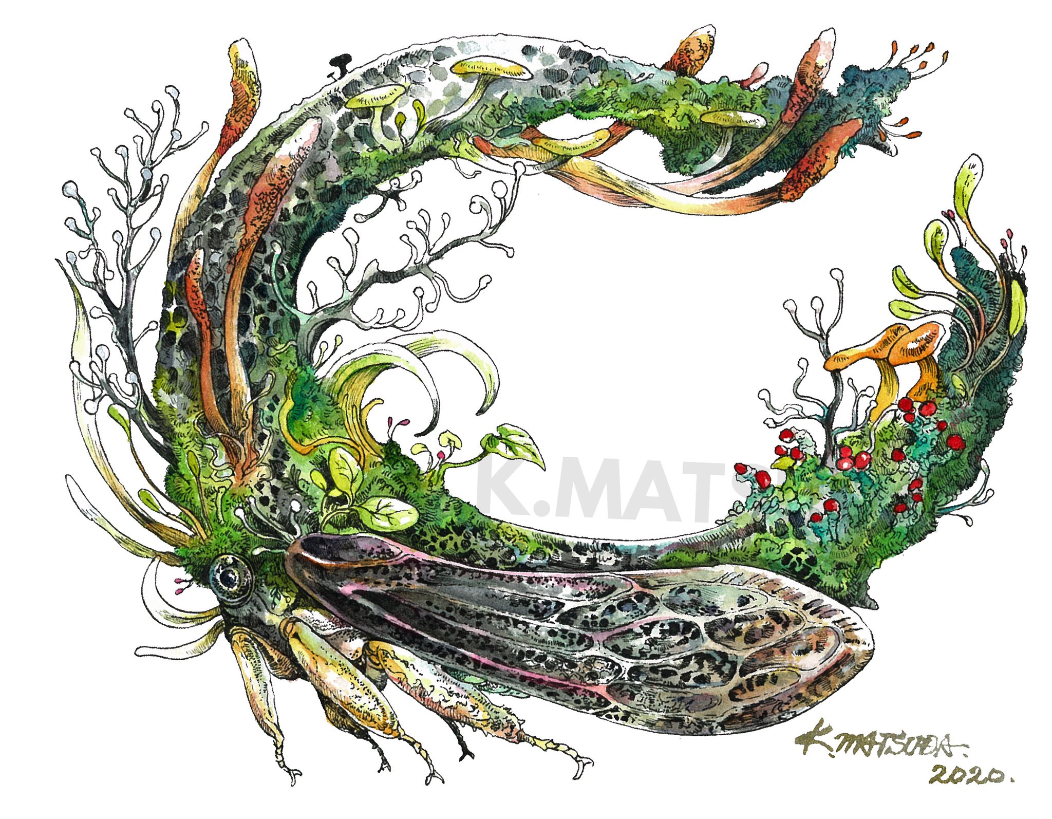 冬虫夏草の油絵【オオセミタケ】1点物の絵画◆作者サイン入り/円型キャンバス 冬虫夏草の油絵【オオセミタケ】1点物の絵画◇作者サイン入り/円