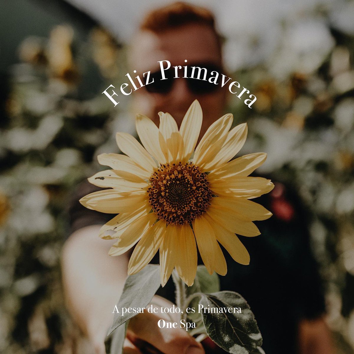 OnespaPy's tweet photo. A pesar de todo, es Primavera. 💐Feliz día para todos!

#OneSpa https://t.co/5fgUAhXoVo
