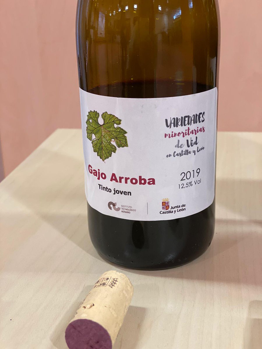 tierradesabor's tweet photo. @MahalaWine @AlmuVino @SJEvansMW @ITACYL @Gastrobellver @CarlosGuiaPenin @JavierGuiaPenin @semanavi @RFrancas @MercadosdelVino @MaraSanchez2013 @spanish_wl @Raqueliquida @vinotenis @CDecantado @LunaMetropoli @nortecastilla @ESdiario_com @expansioncom @JancisRobinson @GentlemanSpain @GASTROactitud @GastroSER @VinodMNagwanshi @revistaorigen @origenonline @7canibales @Verema @chefdelmar @cellerdegelida @cuatrogatosWine @Dabizdiverxo @CanRocaCeller @ResLaLobita @CorralMoreria @LAVINIA_ESP @RteTrigo ¡Gracias a todos los periodistas y prescriptores del vino que nos han acompañado en la cata online #DueroExperience #DueroWineFest! 🍷

Seis vinos nacidos de variedades minoritarias de #CastillayLeón recuperadas de la extinción y con mucho futuro 💛 @ITACYL https://t.co/z5oG9hajUc