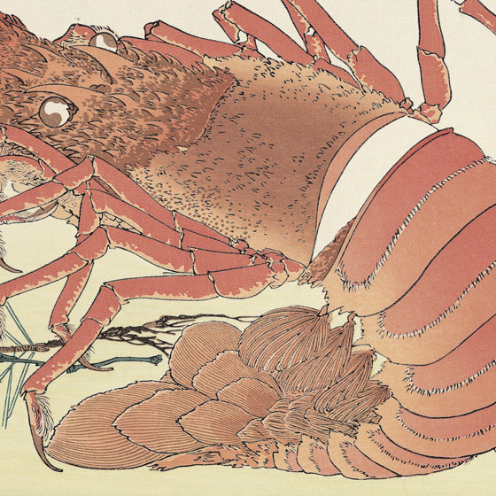 本日は #敬老の日、そしてエビが長寿を象徴することから #海老の日