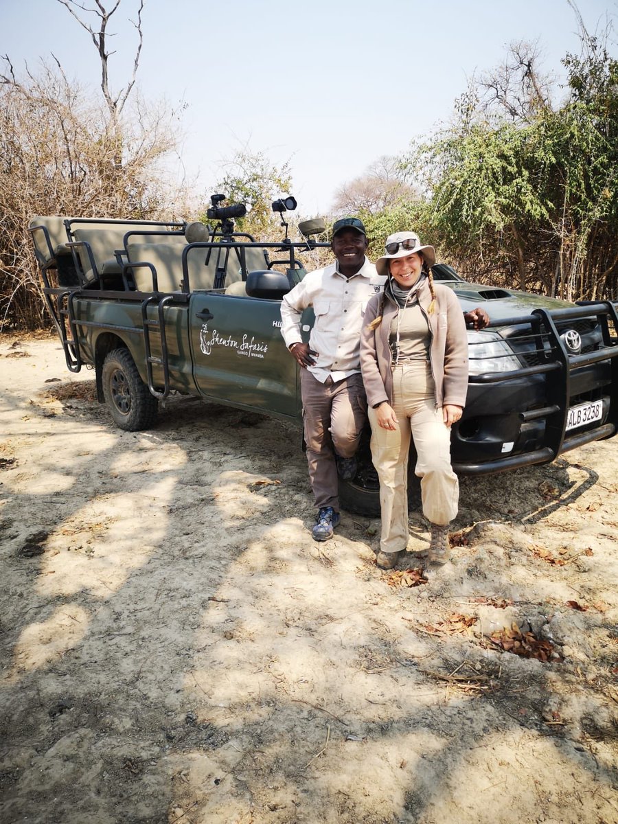 #DoubleTrouble have been busy out in the park getting lots of content for you all to see. 

If you've been missing us let us know you're favourite part of camp? 

#GetClose #GetCloseZambia #GetCloseAfrica #ShentonSafaris #AfricasBestPlacetoHide #SouthLuangwa #Zambia