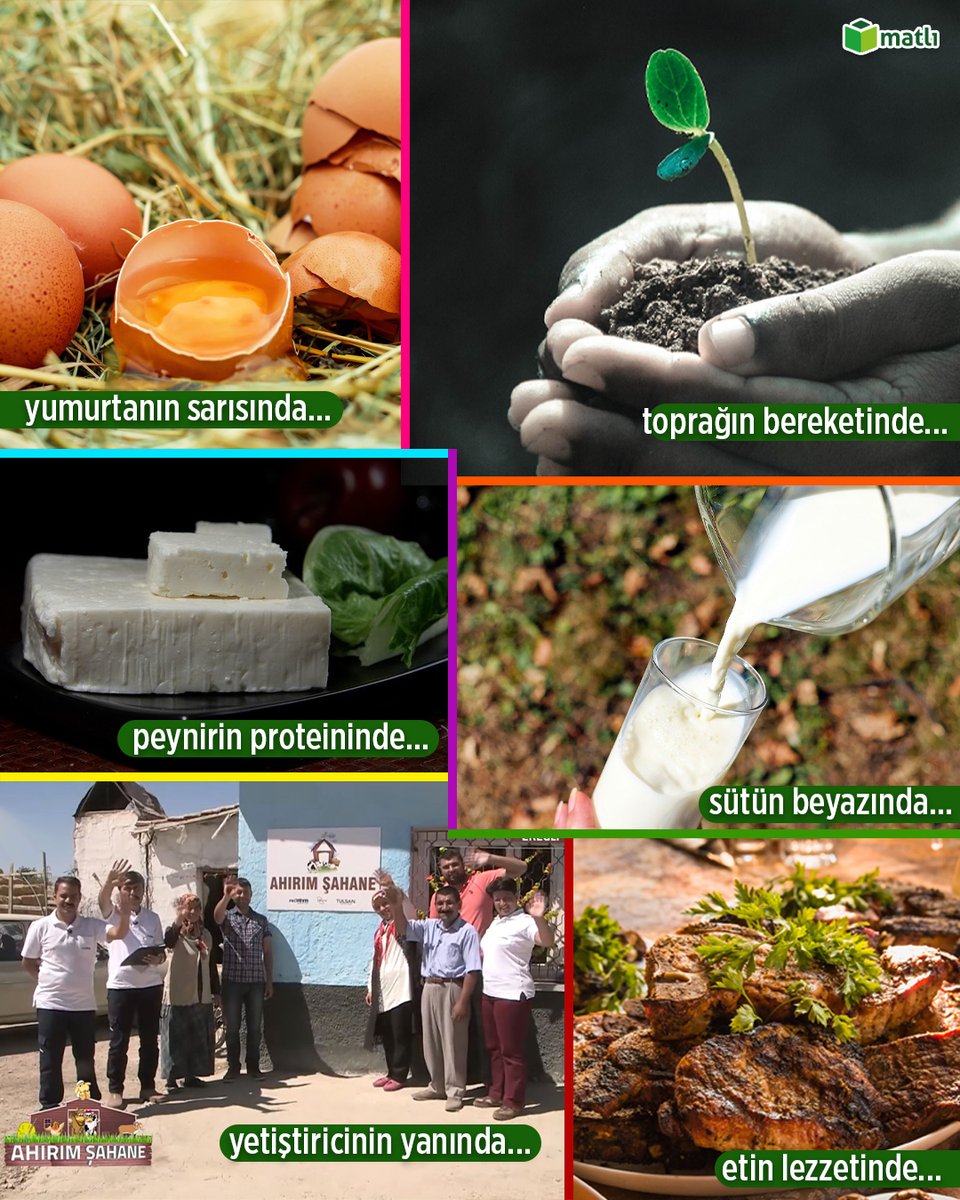 Matlı Şirketler Grubu tweet media