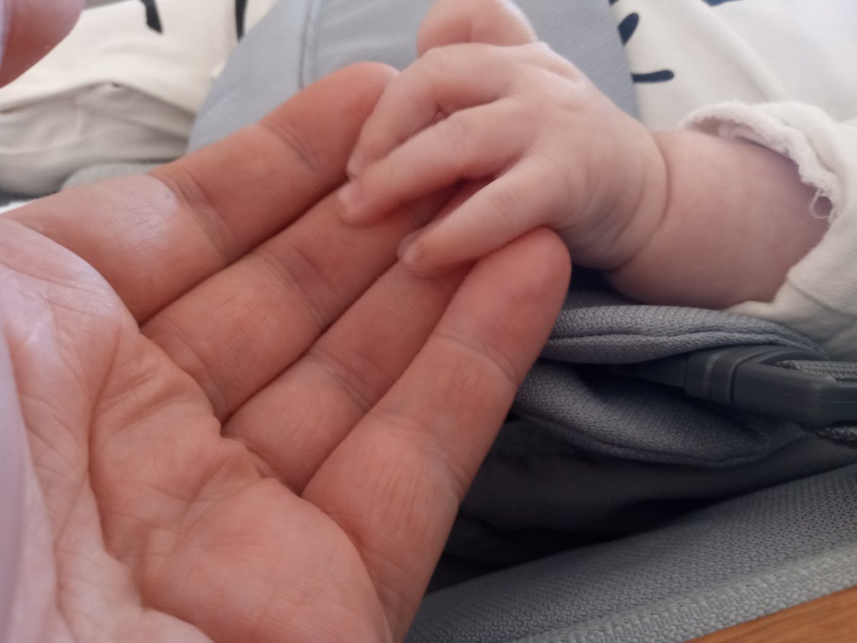 GijohnWick tweet media