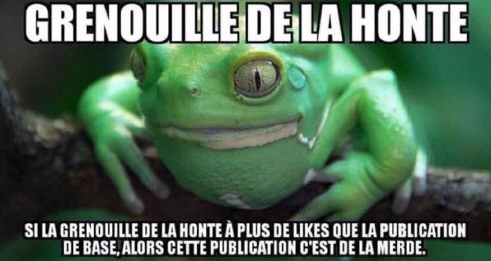 Traviak_'s tweet photo. @mehdiibouch @sofyanboudouni https://t.co/u4irDqSRIp