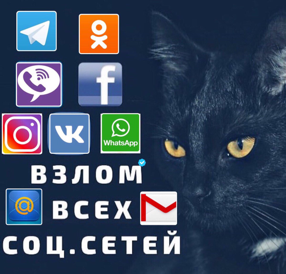 vzlom_24's tweet image. 