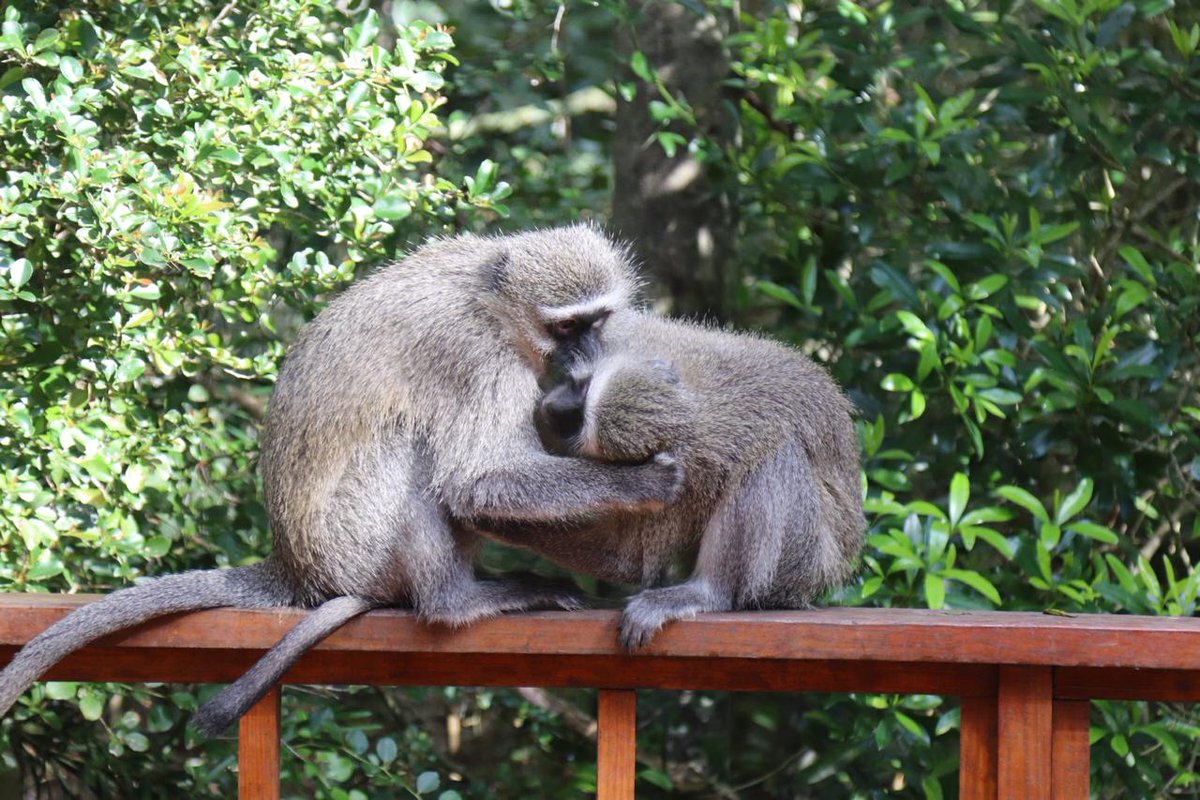 Dept of Tourism tweet media