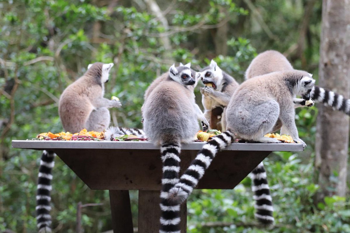 Dept of Tourism tweet media