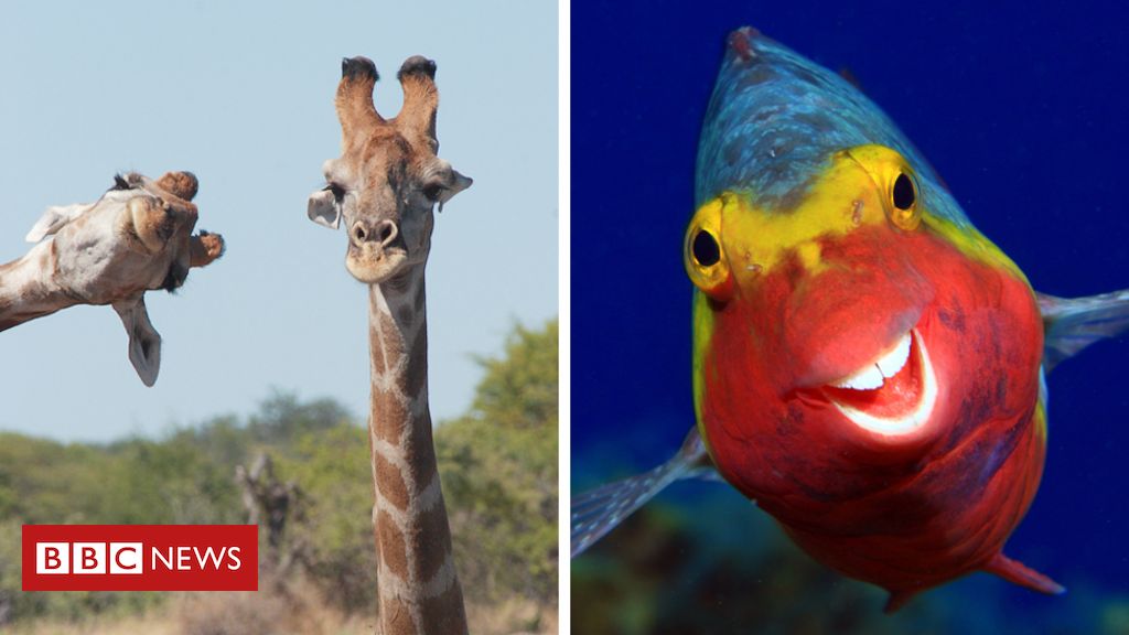 Cohub Coworking tweet media