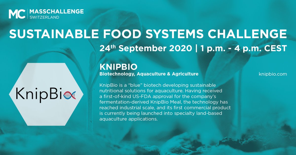 MassChallengeCH's tweet photo. Meet the 6 #startups pitching on September 24th @ 1PM CEST!
First in line is @KnipBio, a biotechnology company developing responsible and sustainable commercial feed solutions for the aquaculture industry. 
Don’t forget to register to cast your vote 👉 https://t.co/XTlATyA8Sk https://t.co/L7BQJqJhjH
