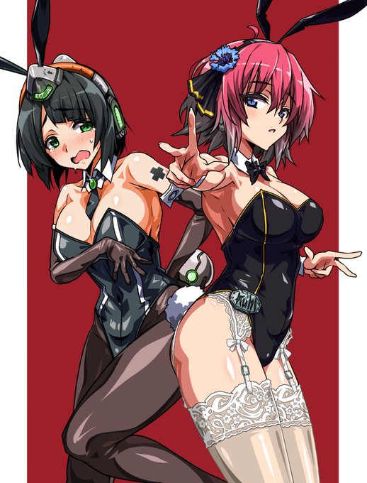 デュアルバニー 