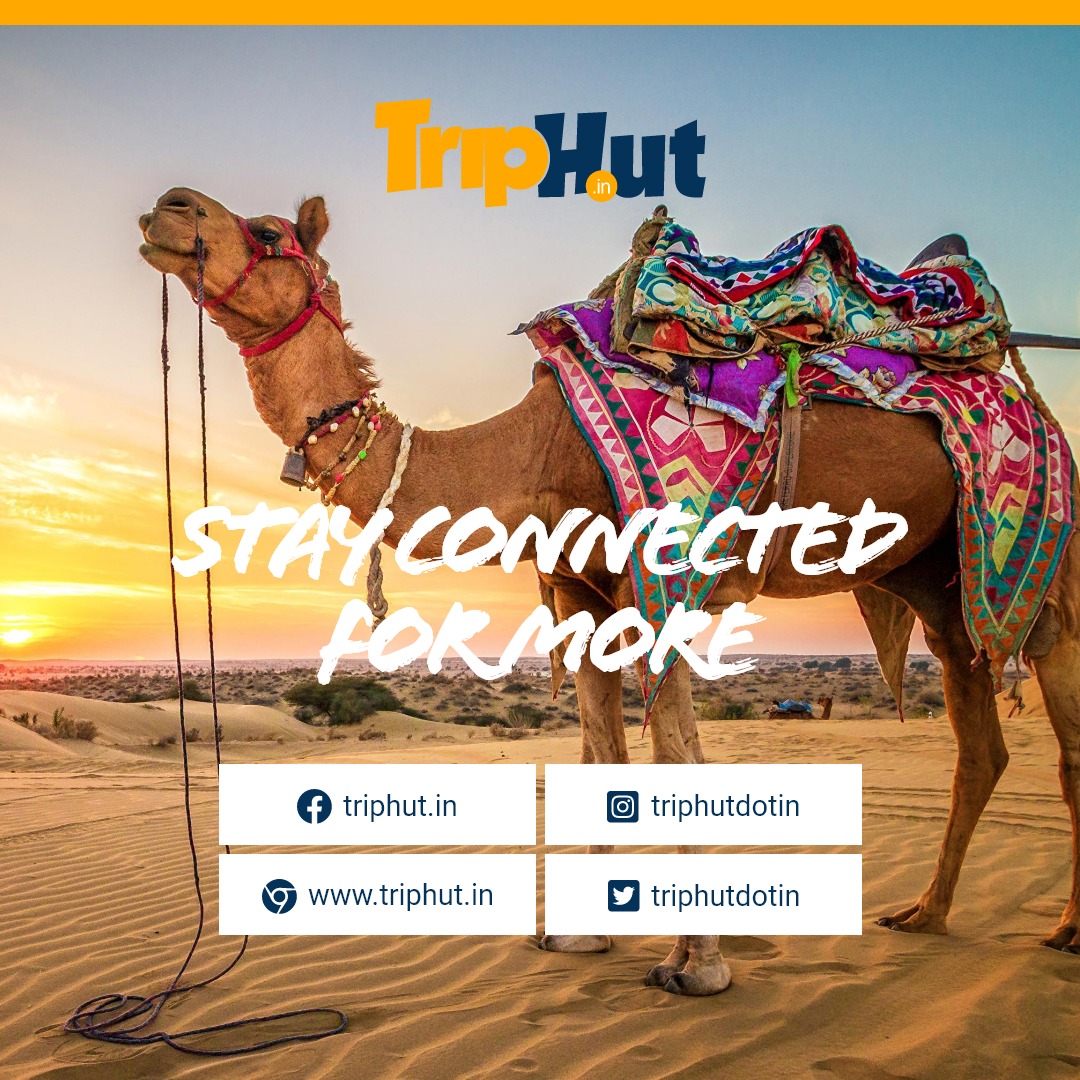 Triphutdotin's tweet photo. Dubai gets ready to welcome tourists once again. Explore futuristic charm of Dubai with its modern skyscrapers, desert safaris, nightlife and some of the finest shopping malls @ https://t.co/fqlPruoUAp 

#TripHut #Destinations #TravelDeals #Travelplans2020 #Dubai #Dubai_Trip https://t.co/9NnxNbIrBL