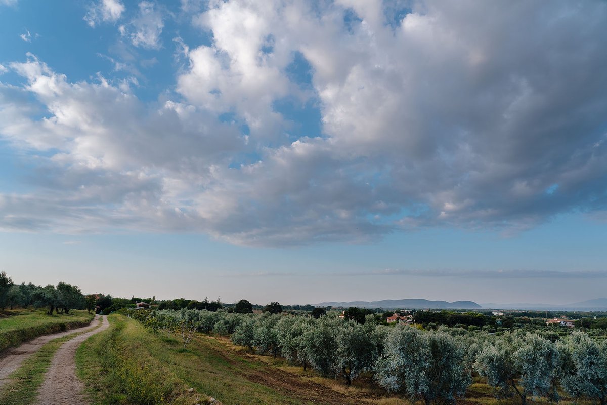 Alexandra M. Korey tweet media