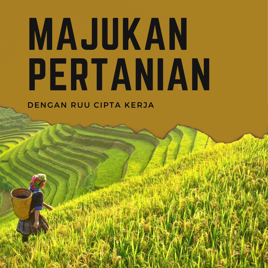 52Putriandini's tweet photo. Percuma kalau gak di setujuin, padahal pertanian membantu masyarakat untuk bertahan hidup setiap harinya. 

Dengan RUU Ciptaker, pemerintah melindungi para petani dengan memberikan kemudahan permodalan, perizinan yang mudah, supaya para petani makin maju dan makin bisa bersaing. https://t.co/kdpYLTR8JG