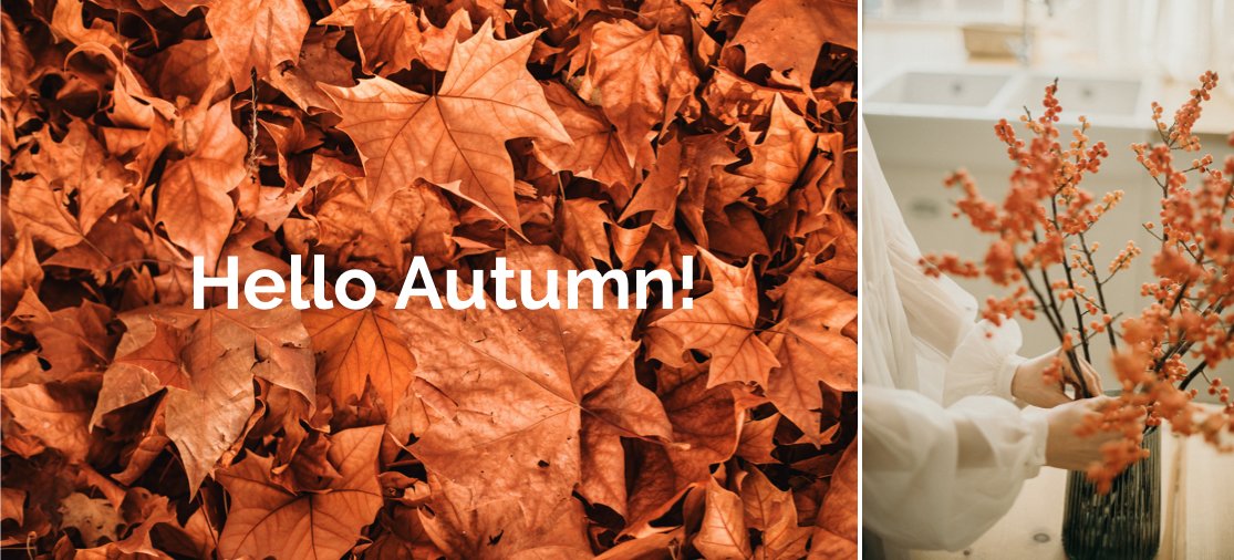 Hello Autumn! #autumnvibes #propertystyling #orangeandbrowns #coventry #propertyinvestment