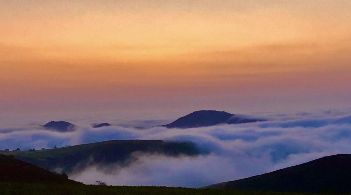 Aneedtopaint's tweet image. And as usual a few more pictures to follow on from the video posted earlier of this mornings #CloudInversion looking across from the #LongMynd 🤷🏻‍♂️🙄😉 #Shropshire #LoveWalking #Photography #iPhone