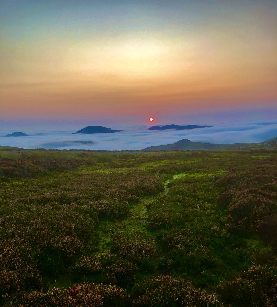 Aneedtopaint's tweet image. And as usual a few more pictures to follow on from the video posted earlier of this mornings #CloudInversion looking across from the #LongMynd 🤷🏻‍♂️🙄😉 #Shropshire #LoveWalking #Photography #iPhone
