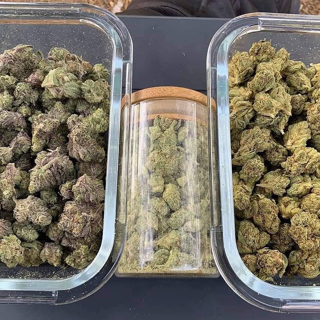VladimirWeed's tweet photo. Livraison rapide et discret 35min maxi
À partir de 100balles
Télégram : @vladimirweed20
Snap: Vladimirweed20

#securite #weed #hash #dijon #angers #nîmes #var #isére #villeurbanne #lareunion #arras #qanonfrance #stopconfinement #confinement #oilprices #kimjongun #covid19 #corona https://t.co/tpPk5zLyHE