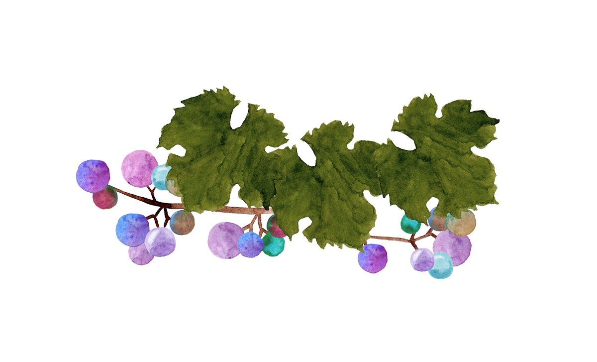 時々雨 ホームページのフリー素材にノブドウの絵を追加しました T Co I0ni2khxkj 水彩画 水彩 水彩イラスト 野葡萄 フリー素材