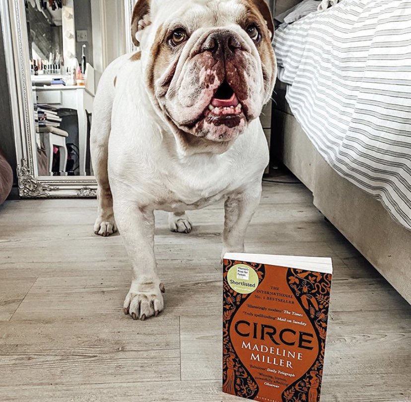 Four more pawsome #BullyBookClub reviews of #Circe by @MillerMadeline. See our Insta for more. (@BloomsburyBooks @HachetteUS)