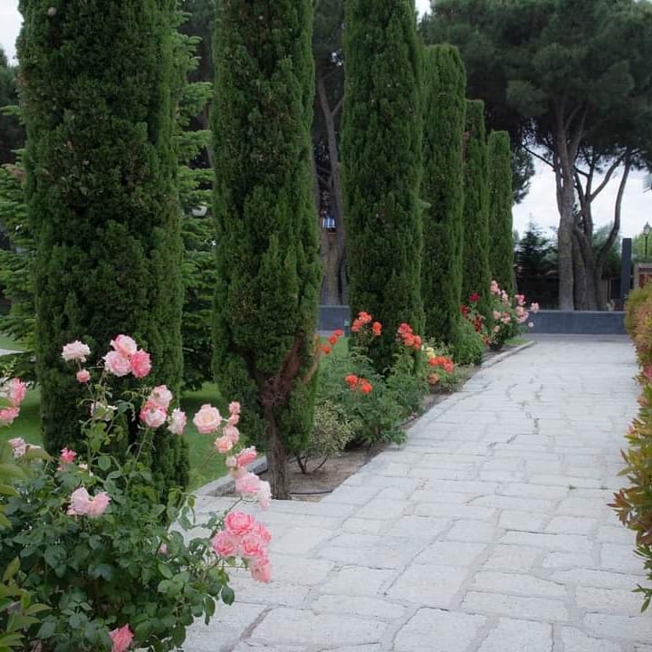 El esplendor y la belleza de nuestros jardines, llenos de árboles, flores y fuentes es el entorno perfecto para vuestra #Boda. Venid a conocernos si quereis que vuestra #Boda2021 sea un día inolvidable en un finca exclusiva ❤
📲 Información: 918 14 99 78
📩 info@laromanee.com