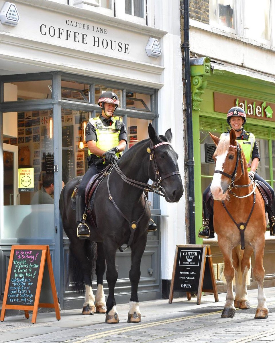 We can sleep tight knowing these superheroes are watching from above (quite literally, these horses are so TAALLL!) Shame they can’t enjoy a little coffee break with us☕️☕️#mountedpolice#cityhorses#specialitycoffe