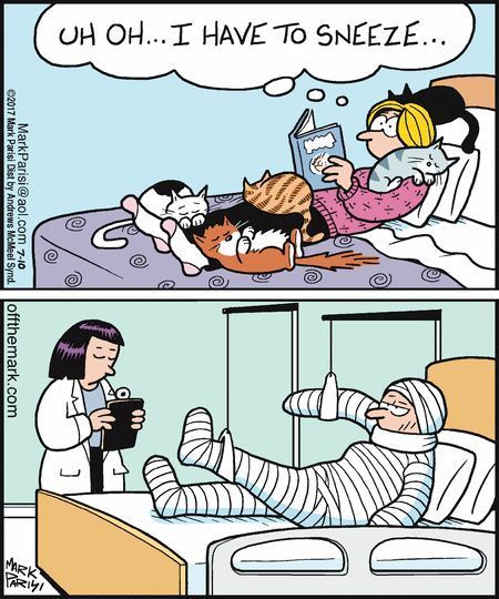 Markéta Ludmila Chládková tweet media