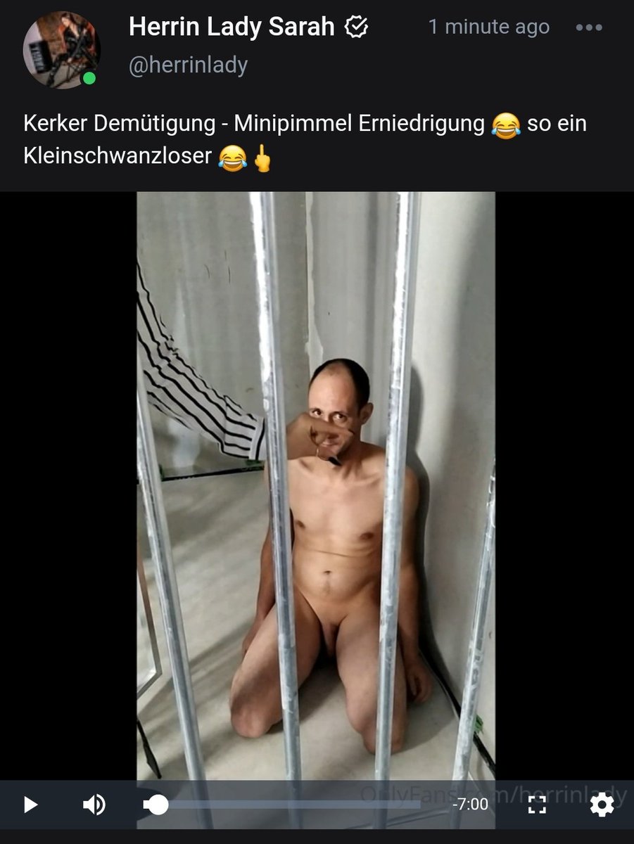 Herrin Lady Sarah tweet media