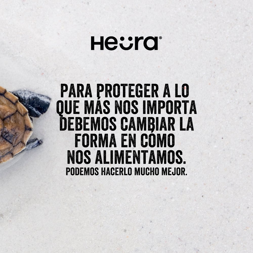 Heura Foods (@heurafoods) on Twitter photo 